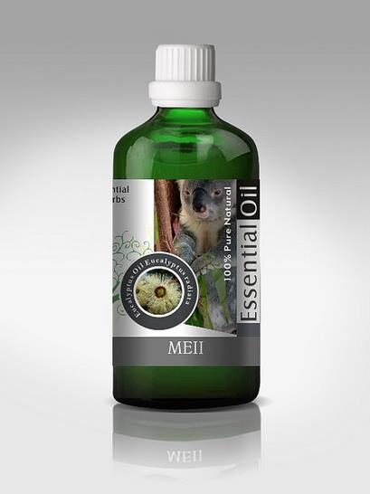 Eucalyptus radiata subsp. radiata - Eucalyptus radiata, black oil peppermint, Forth River Peppermint - Image 8