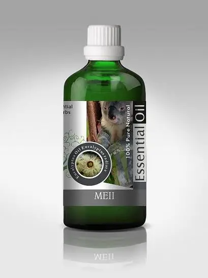 Eucalyptus radiata subsp. radiata - Eucalyptus radiata, black oil peppermint, Forth River Peppermint - Image 8