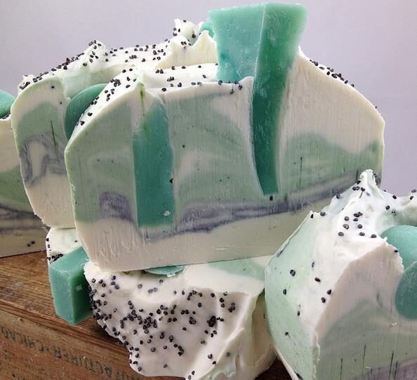 Eucalyptus radiata subsp. radiata - Eucalyptus radiata, black oil peppermint, Forth River Peppermint - Image 9