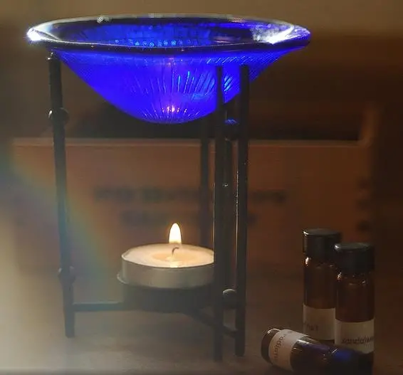 Eucalyptus radiata subsp. radiata - Eucalyptus radiata, black oil peppermint, Forth River Peppermint - Image 11