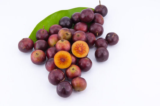 Flacourtia jangomas - Indian Coffee Plum, Runealma Plum - Image 6