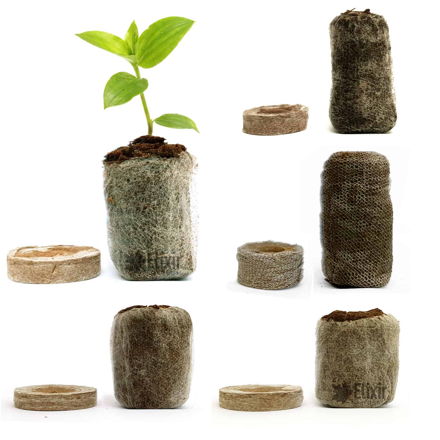 Jiffy-7 42 mm PLA Peat Coir Peat Pellets Germination and Cloning Cell - - Image 4