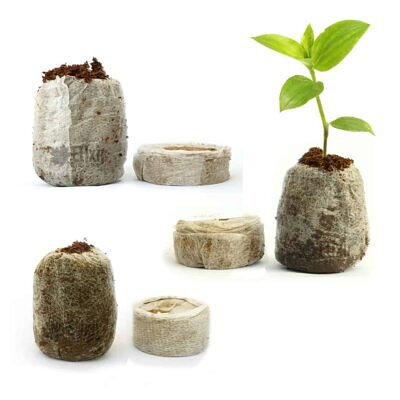Jiffy-7 42 mm PLA Peat Coir Peat Pellets Germination and Cloning Cell -
