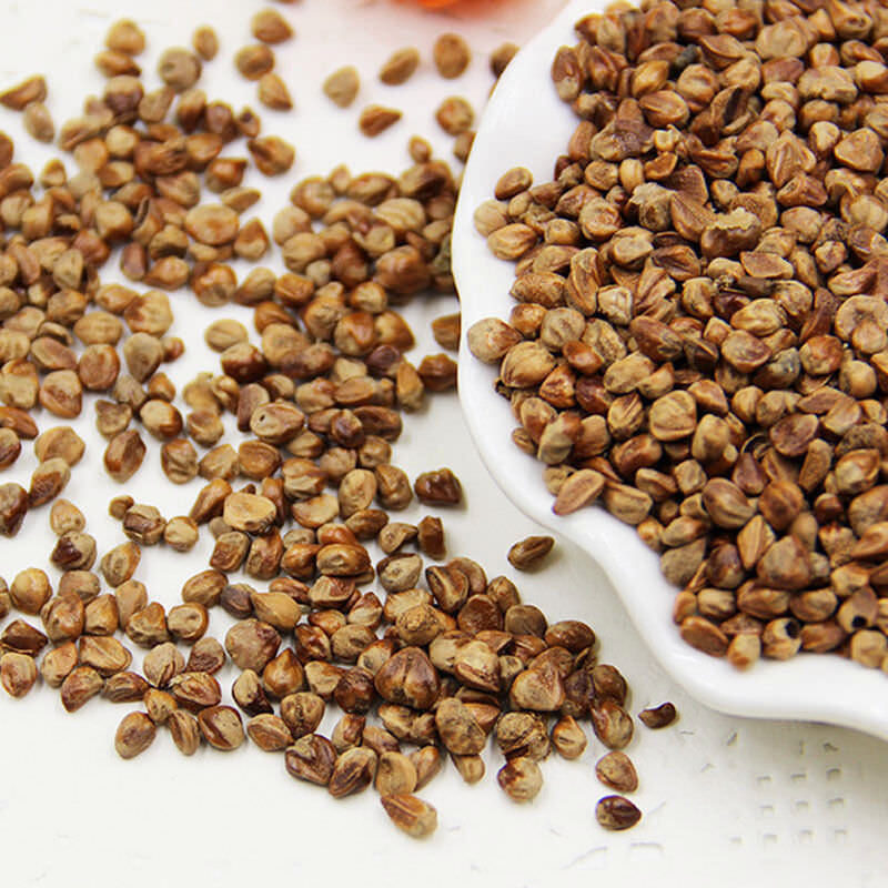 Juniperus chinensis - Chinese Juniper - Image 9