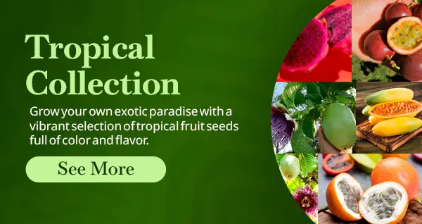 kit-tropical-collection-quinta-dos-ouriques-seeds