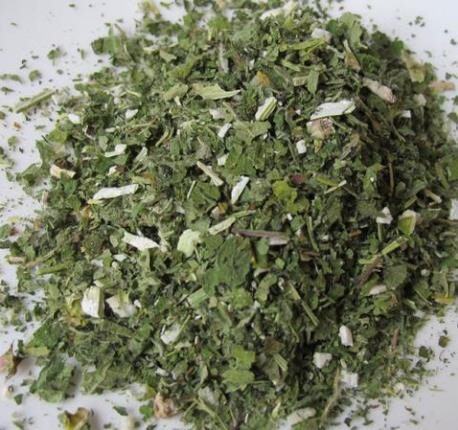 Leonurus cardiaca - Heart Balm, Motherweed, Motherwort, Lion Rubber, Heart Agripalma - Image 6