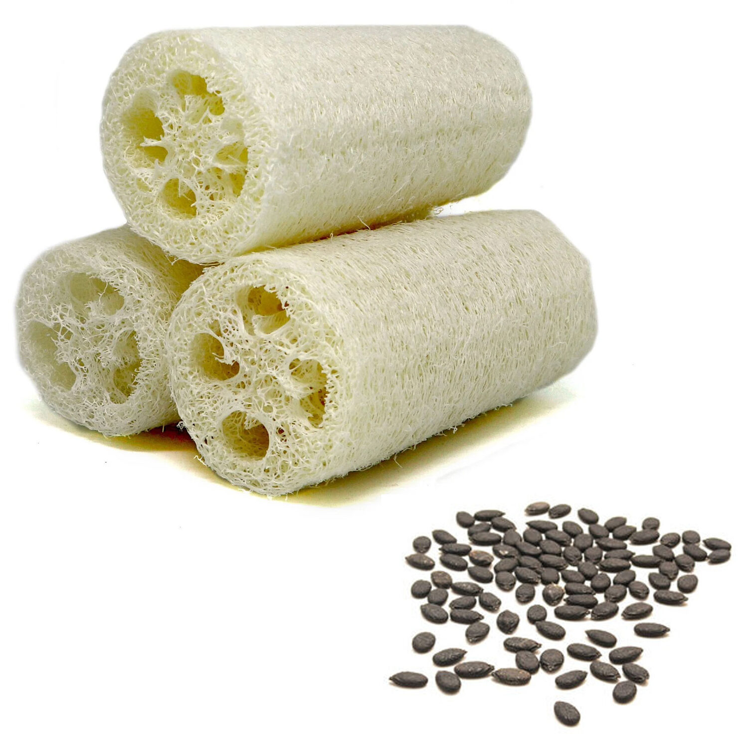 Luffa cylindrica / Luffa aegyptiaca / Cucurbita luffa / Momordica cylindrica - Loofah, Sponge Gourd, Vegetable Sponge, Egyptian Cucumber, Vietnamese Luffa - Image 4