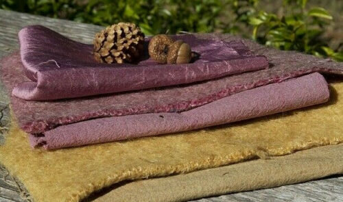 Mahonia aquifolium - Oregon grape - Image 4