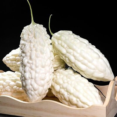 Momordica charantia 'White' - White Bitter Melon, White Bitter Apple, White Bitter Squash, White Bitter Gourd