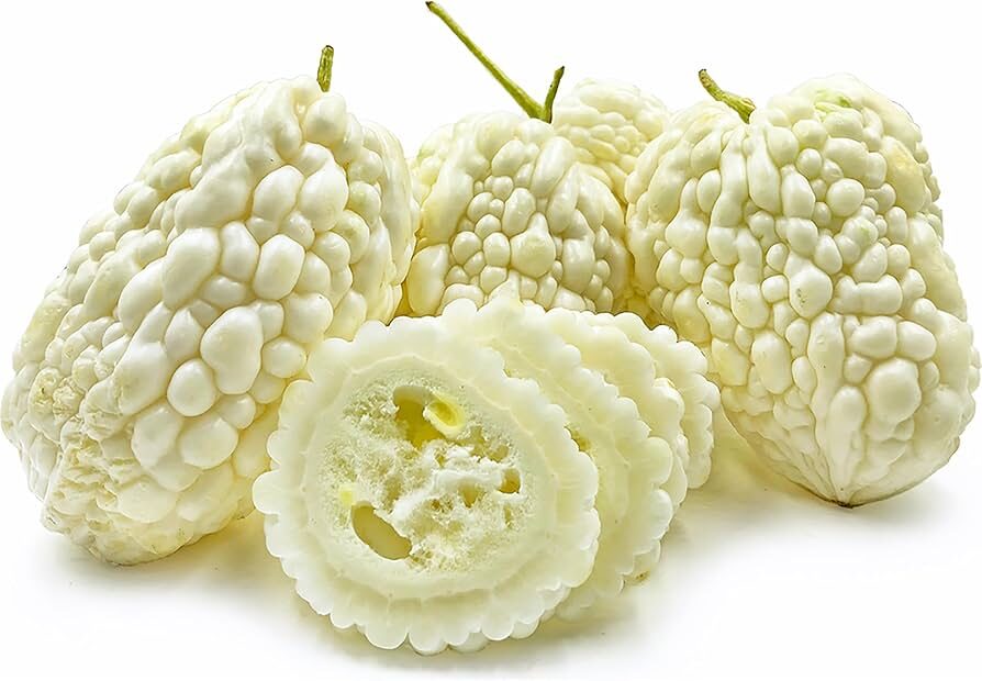 Momordica charantia 'White' - White Bitter Melon, White Bitter Apple, White Bitter Squash, White Bitter Gourd - Image 3