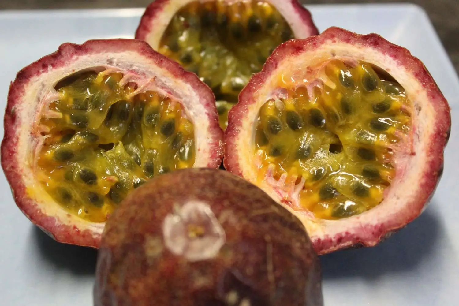 Passiflora Collection - Kit 75 Passionflower Seeds - Passion Fruit Seeds Combo - 5 Seeds from 15 different species - Image 7