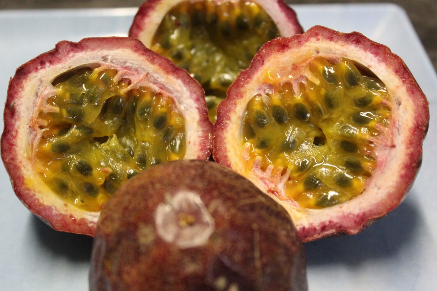 Passiflora edulis 'Red Flamenco' - Red Flamenco Passionflower Maracuja - Image 3