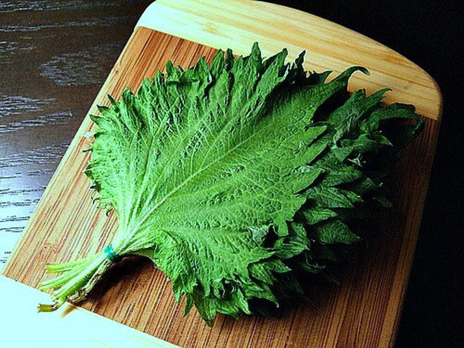 Perilla frutescens - Korean Perilla, Shiso, Deulkkae, Beefsteak Plant - Image 2