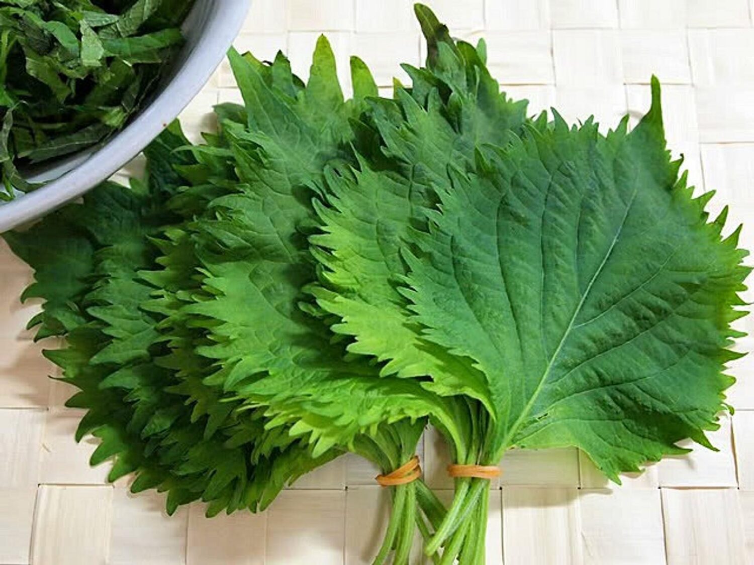Perilla frutescens - Korean Perilla, Shiso, Deulkkae, Beefsteak Plant - Image 3
