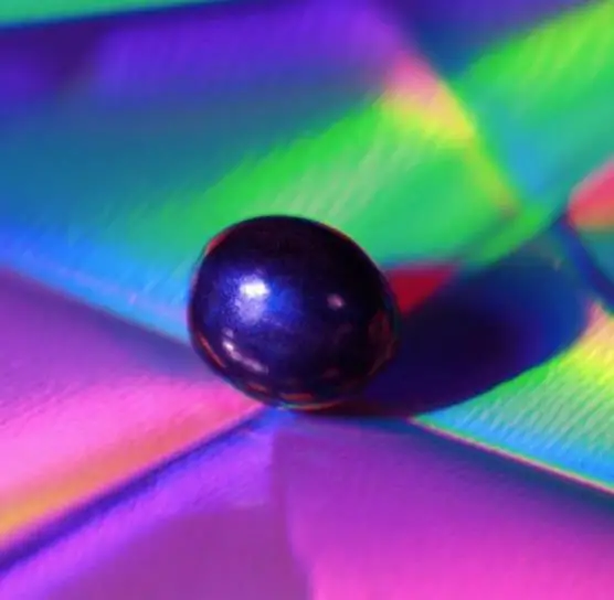 Pollia condensata - Marble Berry, Metallic Blue Pearl Plant, Marble Berries - Image 9