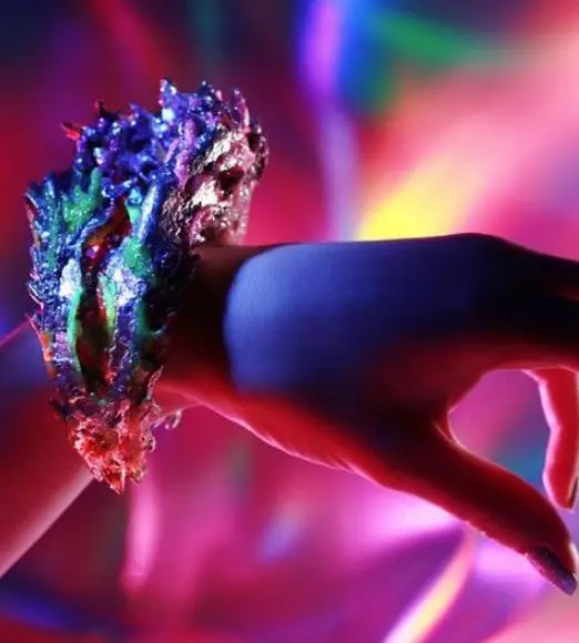 Pollia condensata - Marble Berry, Metallic Blue Pearl Plant, Marble Berries - Image 11