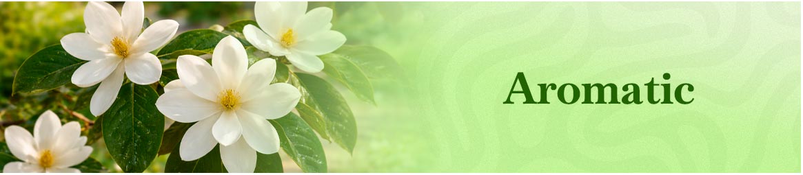 quinta-dos-ouriques-seeds-aromatic