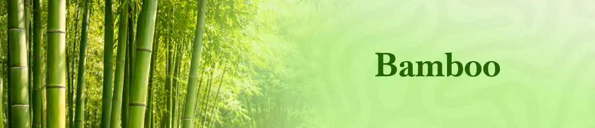 quinta-dos-ouriques-seeds-bamboo