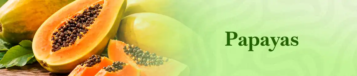 quinta-dos-ouriques-seeds-papayas