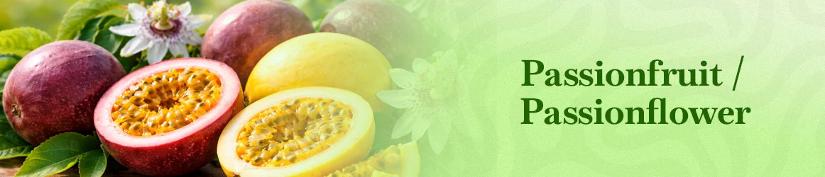 quinta-dos-ouriques-seeds-passionfruit-passionflower