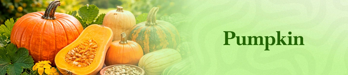 quinta-dos-ouriques-seeds-pumpkin