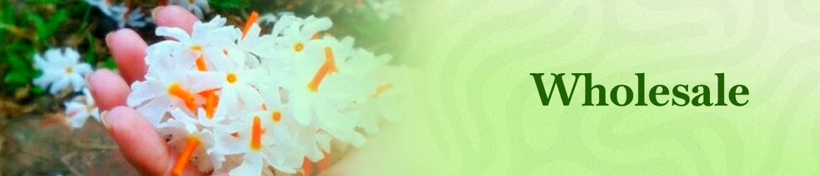 quinta-dos-ouriques-seeds-wholescale