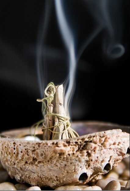 Salvia apiana - sacred salvia, honey salvia, white salvia - Image 5