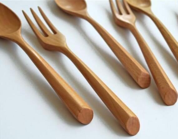 Schima superba - Schima, needlewood - Image 13