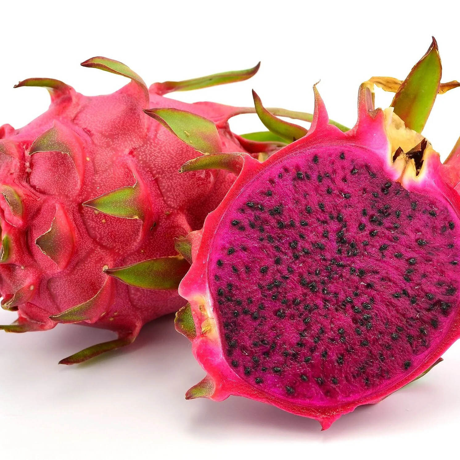 Selenicereus costaricensis / Hylocereus costaricensis 'Red Flesh' - Red Dragon Fruit, Red Pitaya, Pink Pitaya, Pink Dragon Fruit, Pinkfarbene Pitahaya, Drachenfrucht, Pink Pitahaya, Nightblooming Cactus - Image 6