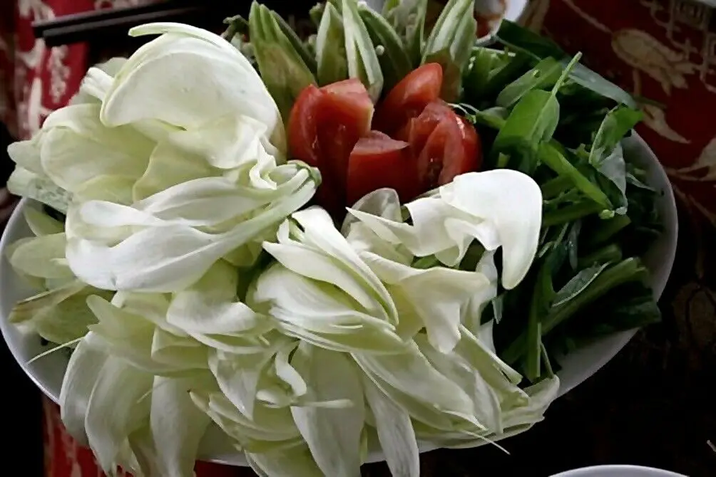 Sesbania grandiflora 'White' - Vegetable Hummingbird, West Indian Pea, Jayanti, Agati, Katurai - Image 5