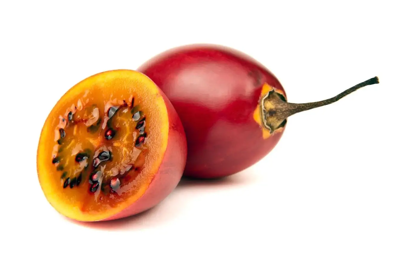 Solanum betaceum / Cyphomandra betacea - Tomato Tree, Tamarillo - Image 9