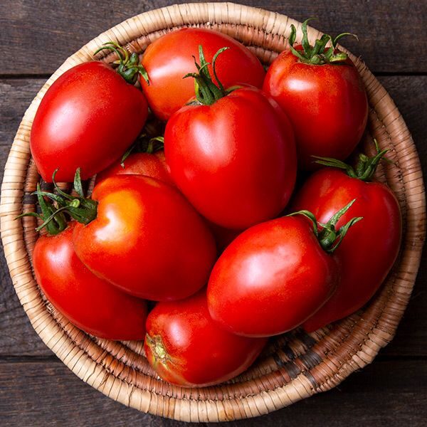 Solanum lycopersicum 'Amish Paste' - Amish Paste Tomato, Amish Paste Heirloom Tomato, Amish Paste Plum Tomato - Image 6