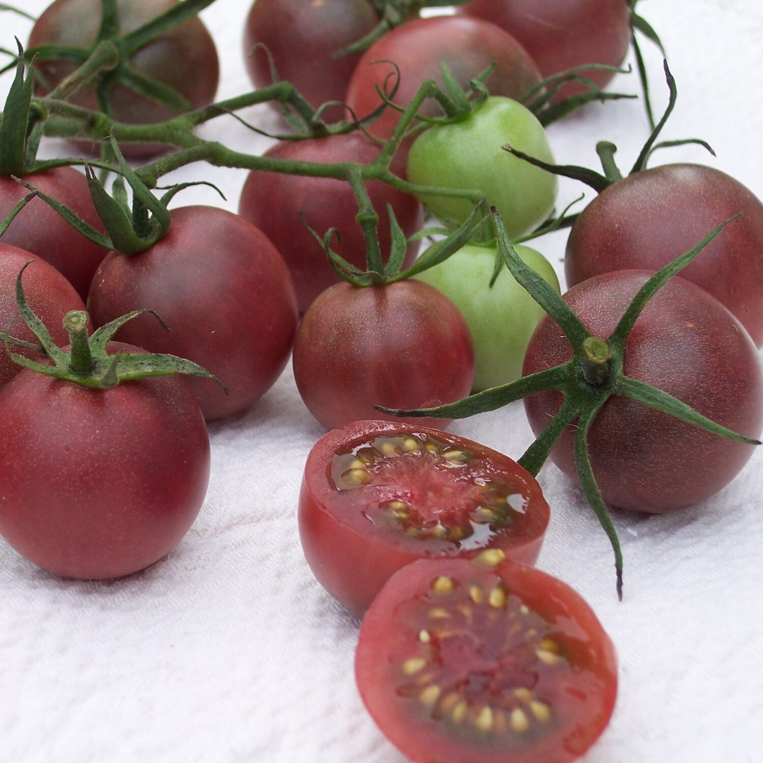 Solanum lycopersicum 'Chocolate Cherry' - Chocolate Cherry Tomato, Brown Cherry Tomato, Heirloom Chocolate Tomato - Image 4