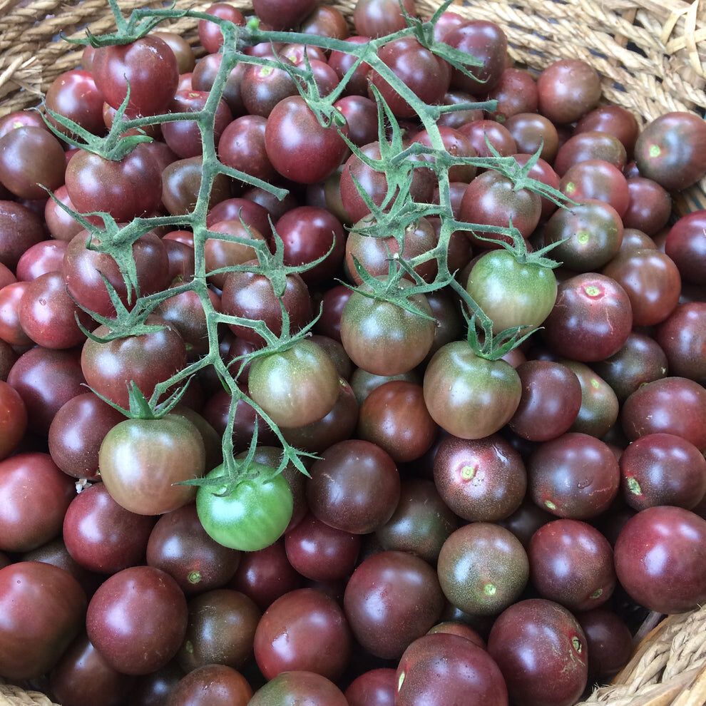 Solanum lycopersicum 'Chocolate Cherry' - Chocolate Cherry Tomato, Brown Cherry Tomato, Heirloom Chocolate Tomato - Image 5