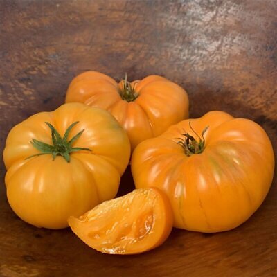 Solanum lycopersicum 'Kellogg's Breakfast' - Kellogg’s Breakfast Tomato, Kellogg’s Breakfast Heirloom Tomato, Kellogg’s Orange Tomato