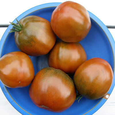 Solanum lycopersicum 'Nyagous' - Nyagous Tomato, Nyagous Heirloom Tomato, Russian Black Tomato