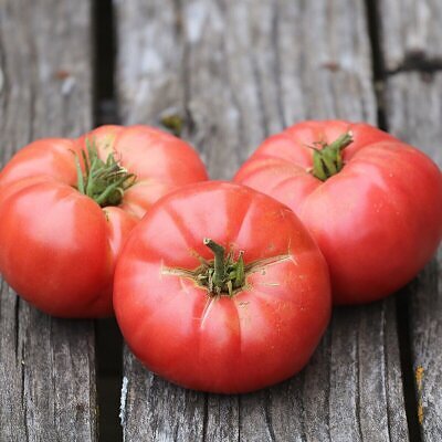 Solanum lycopersicum 'Oma's Pink' - Oma’s Pink Tomato, Oma’s Pink Heirloom Tomato