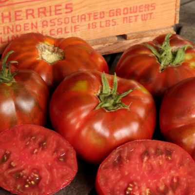 Solanum lycopersicum 'Paul Robeson' - Paul Robeson Tomato, Paul Robeson Heirloom Tomato