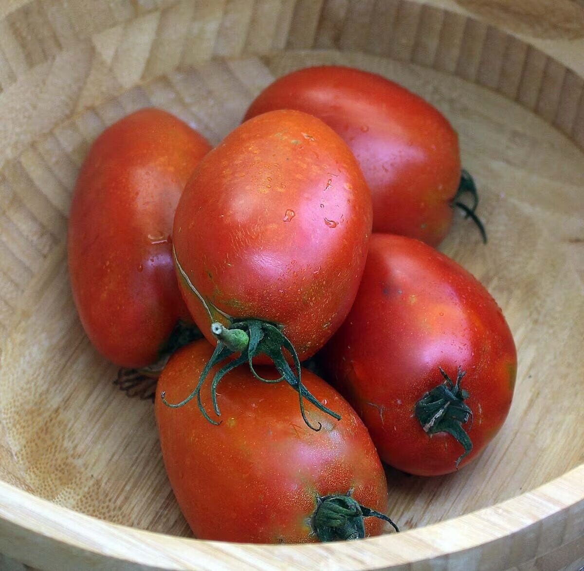 Solanum lycopersicum 'Salvaterra's Select' - Salvaterra’s Select Tomato, Salvaterra’s Select Heirloom Tomato - Image 2
