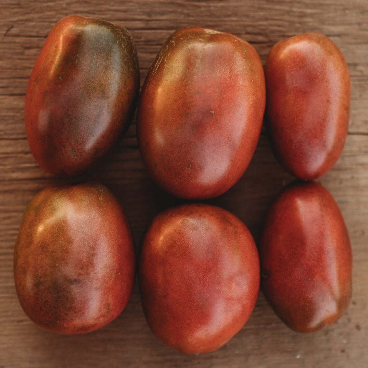 Solanum lycopersicum 'Ukrainian Purple' - Ukrainian Purple Tomato, Ukrainian Purple Heirloom Tomato - Image 2