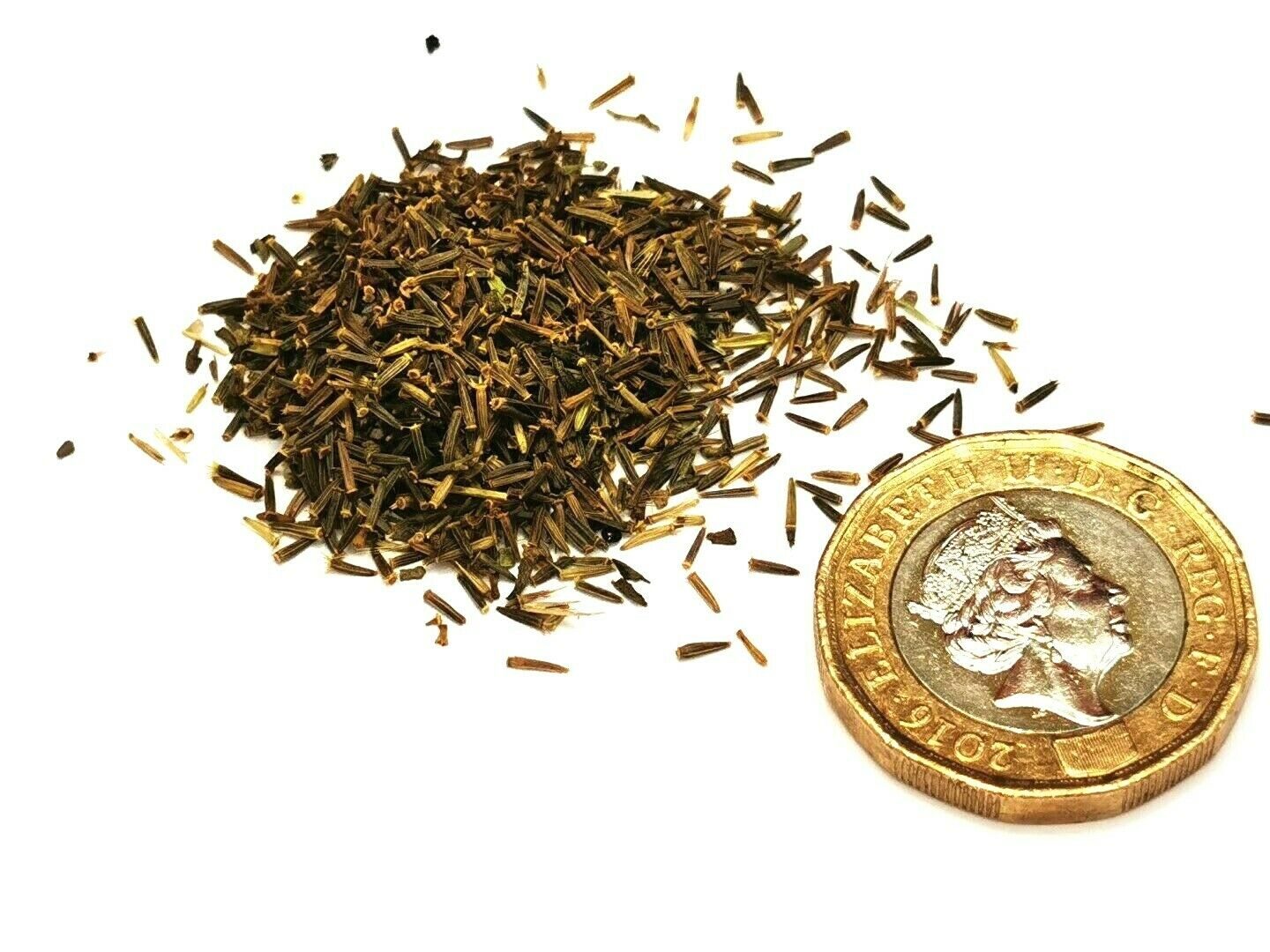 Stevia rebaudiana - Candyleaf, Sweetleaf, Sugarleaf - Image 12