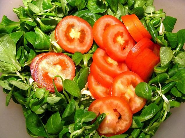 Valerianella locusta cv. Coquille de louviers - Lambs lettuce, ground lettuce, rabbit lettuce, canonigo - Image 8
