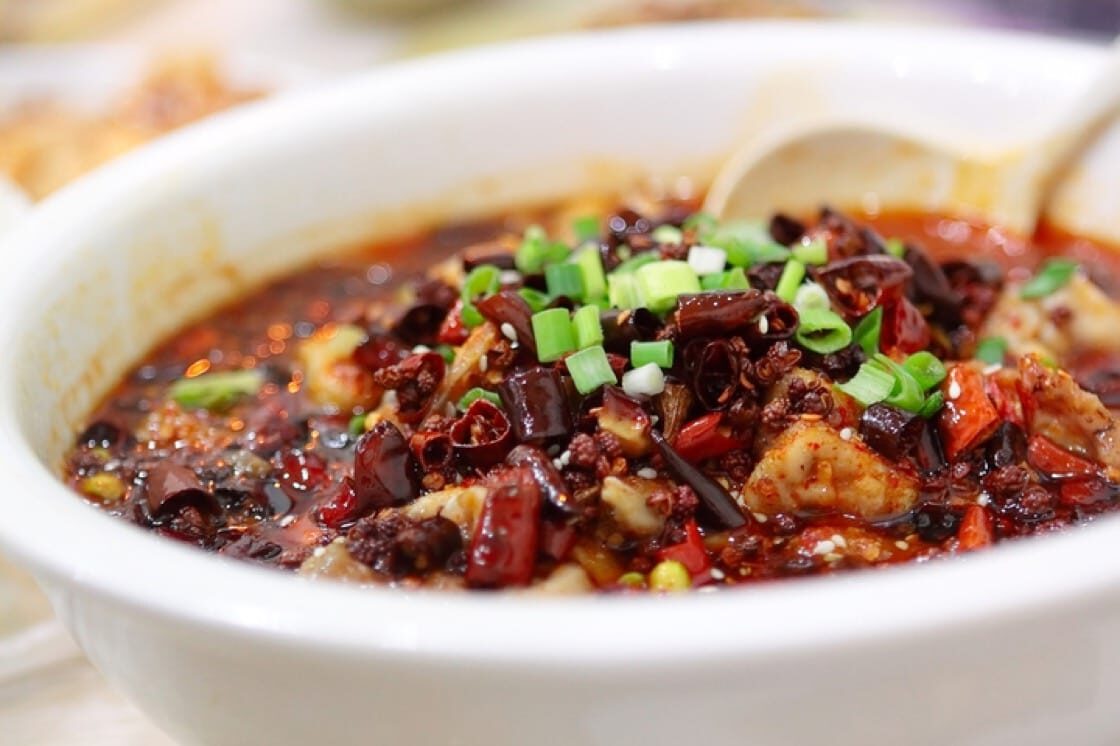 Zanthoxylum simulans - Chinese Pepper Tree, Sichuan Pepper, Chinese Prickly-ash - Image 9