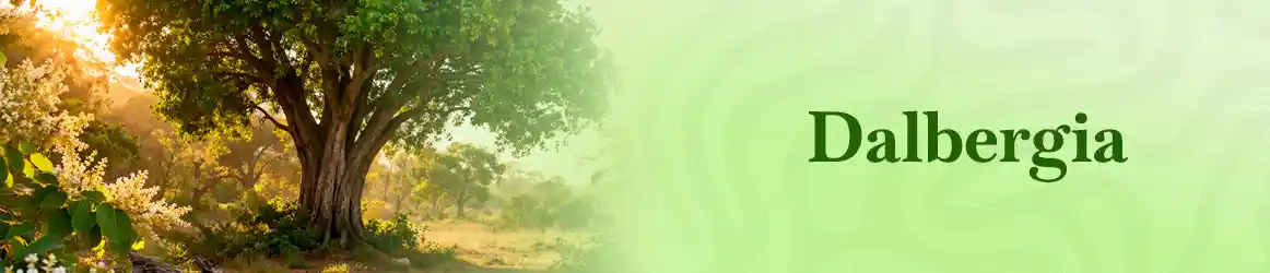 quinta-dos-ouriques-seeds-dalbergia