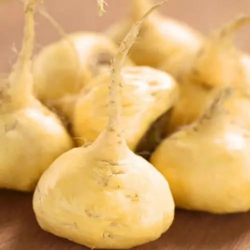 Lepidium meyenii / Lepidium peruvianum - Maca, Macoa, Peruvian Maca, Andes Ginseng, Incas Travel, Peruvian Ginseng, Maca-Maca, Maino, Ayak Chichira, Ayak Willku - Image 3