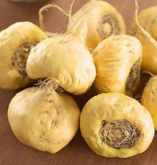 Lepidium meyenii / Lepidium peruvianum - Maca, Macoa, Peruvian Maca, Andes Ginseng, Incas Travel, Peruvian Ginseng, Maca-Maca, Maino, Ayak Chichira, Ayak Willku - Image 4