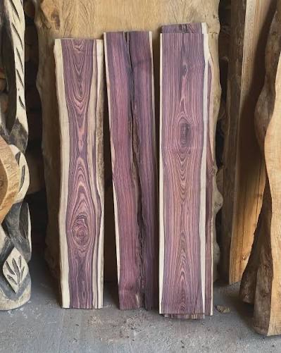 Dalbergia nigra — Bahia Rosewood | Grow the Wood That Sings - Image 6