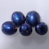 Pollia condensata - Marble Berry, Metallic Blue Pearl Plant, Marble Berries - Image 11