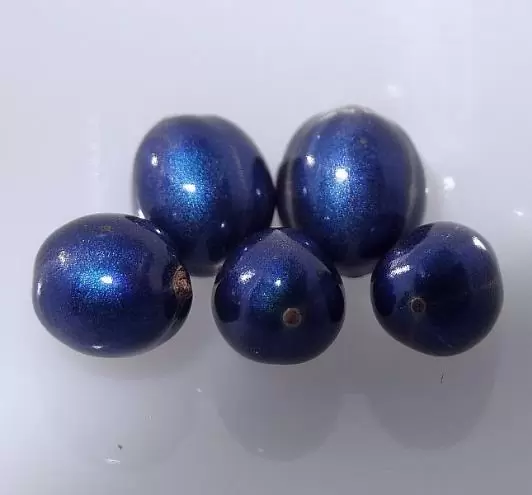 Pollia condensata - Marble Berry, Metallic Blue Pearl Plant, Marble Berries - Image 11