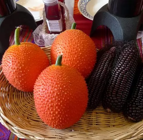 Momordica cochinchinensis - gac, gak, mini jackfruit, baby jackfruit - Image 2